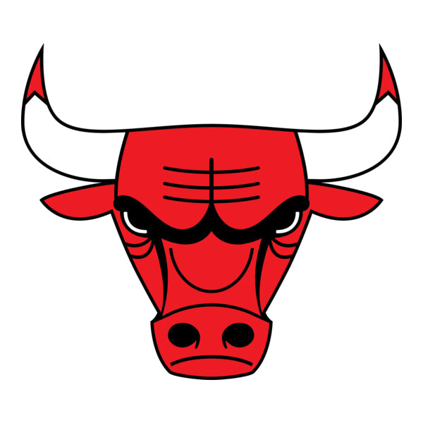 Chicago Bulls Players